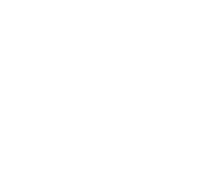 Securalliance - BSL Sécurité