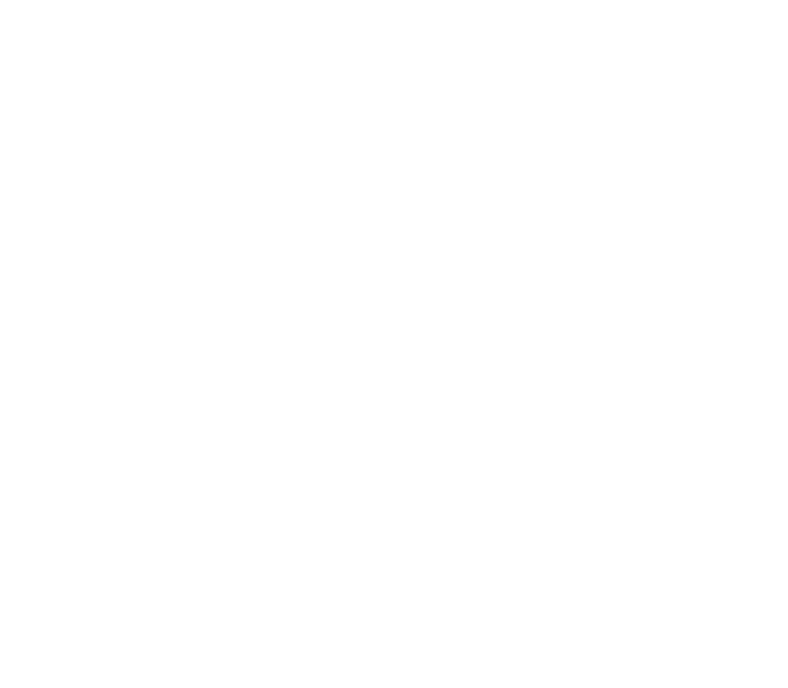 Securalliance - Groupe SGP