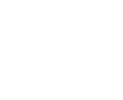 Securalliance - Thifany